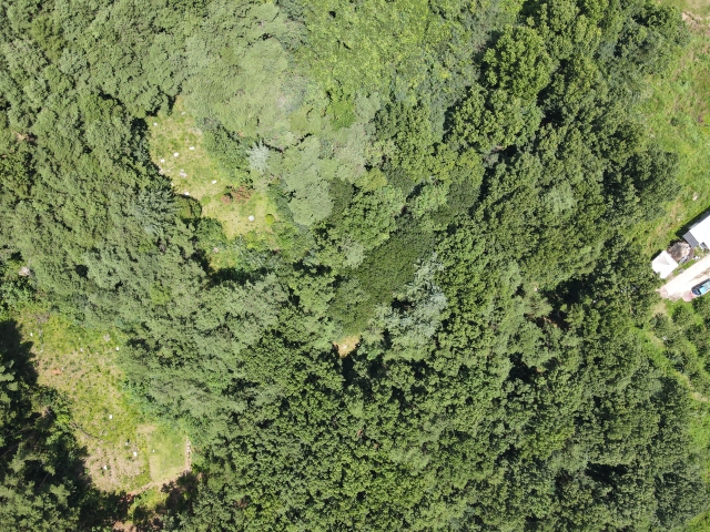 관련정보 이미지