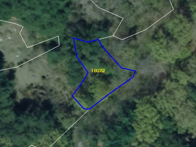 관련정보 이미지