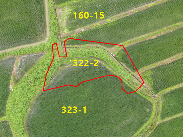 관련정보 이미지