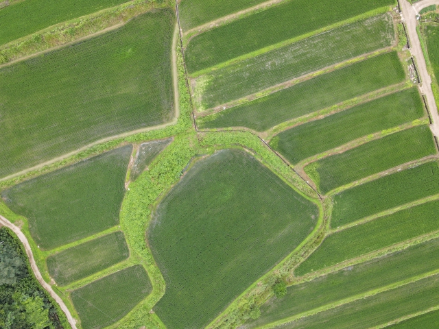 관련정보 이미지