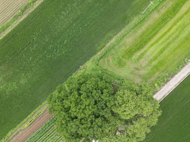 관련정보 이미지