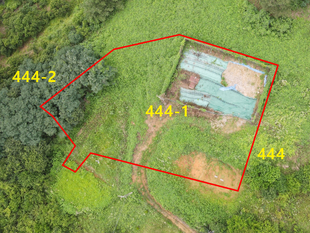 관련정보 이미지