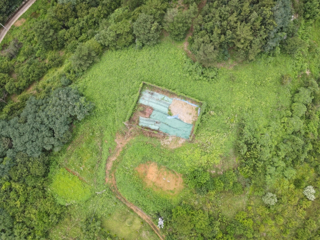 관련정보 이미지