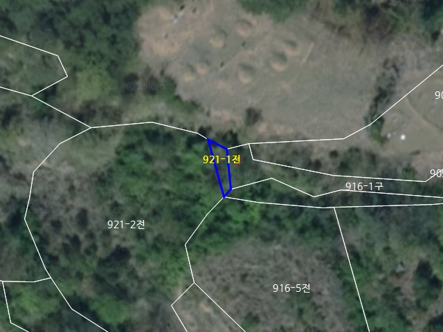 관련정보 이미지