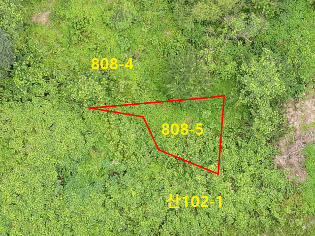 관련정보 이미지