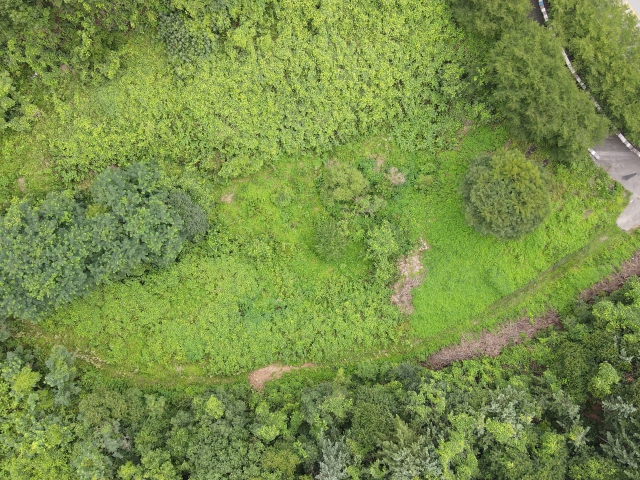 관련정보 이미지