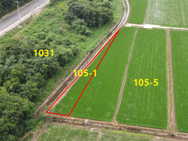 관련정보 이미지