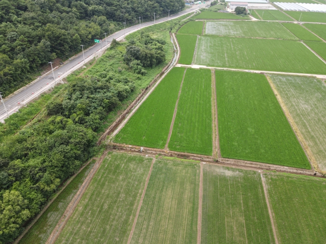 관련정보 이미지