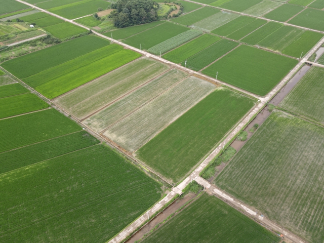 관련정보 이미지