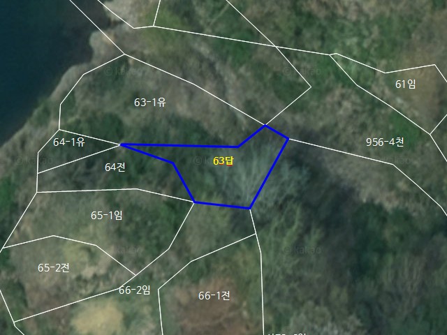 관련정보 이미지