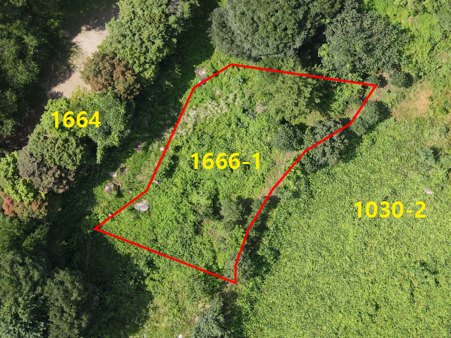 관련정보 이미지