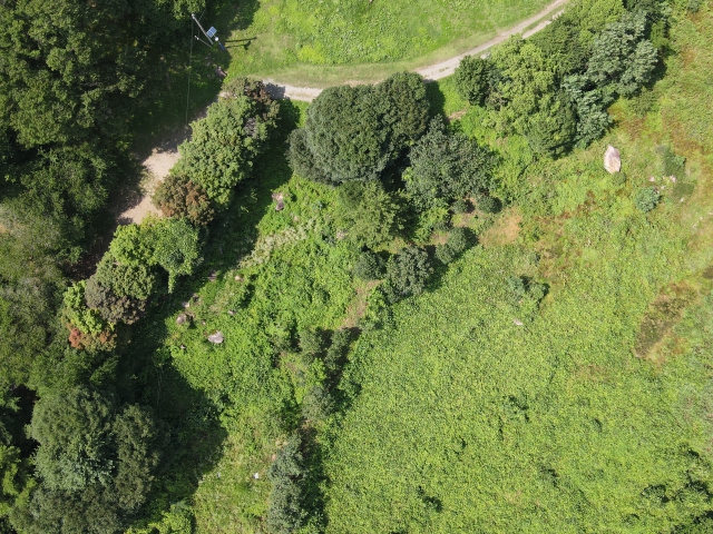 관련정보 이미지