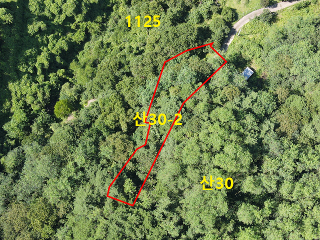 관련정보 이미지