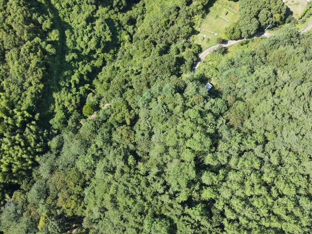 관련정보 이미지