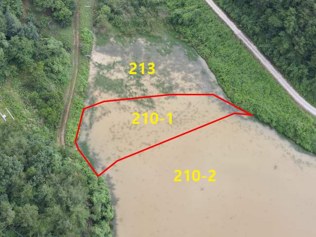 관련정보 이미지