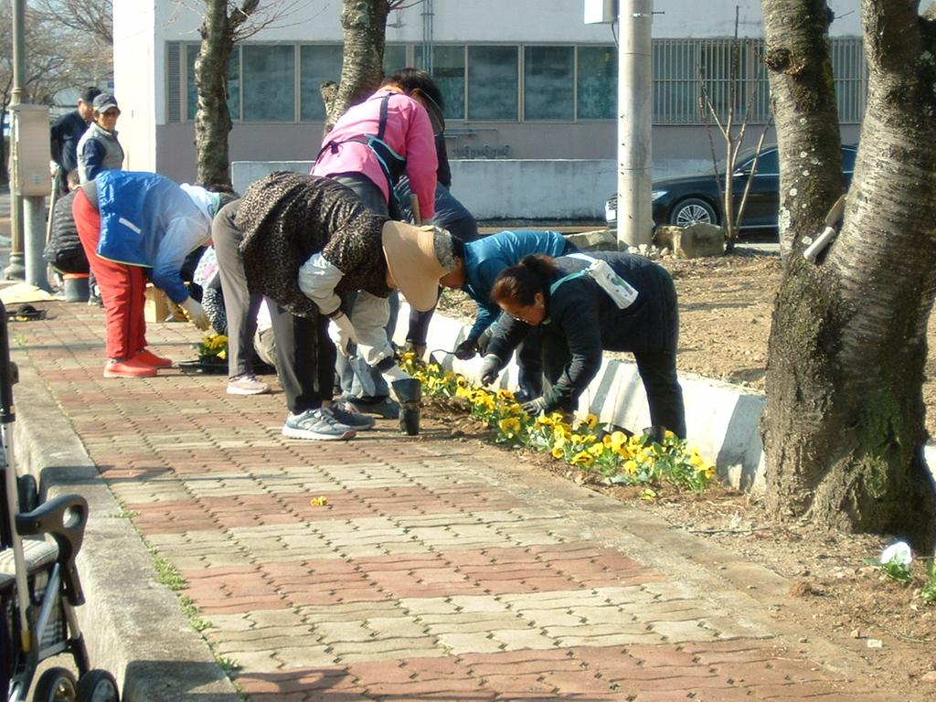 초계면 아막마을 꽃길조성에 마을분동참한 사진