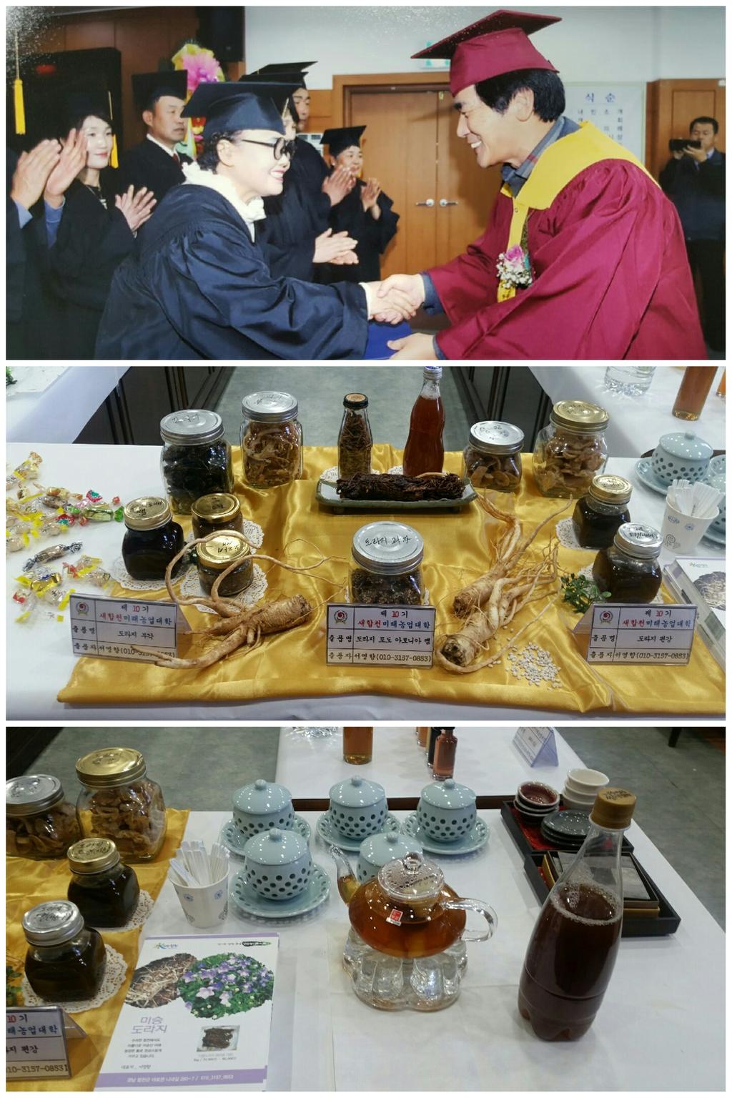 도라지사진