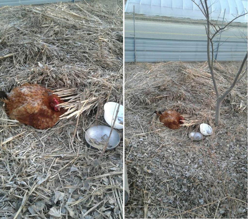 사진 속 위쪽의 노란선은 이차선 도로입니다.