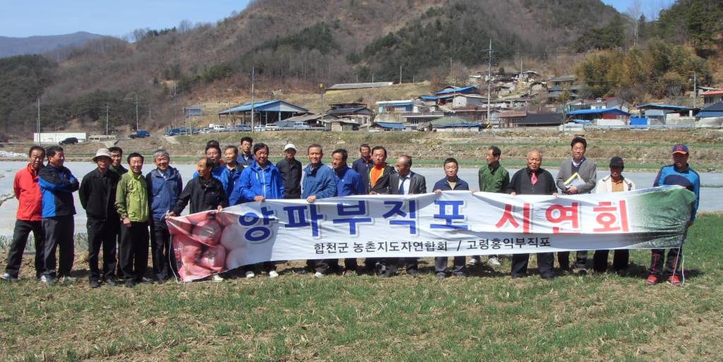  농촌지도자 합천군연합회 양파 부직포 피복재배 시연회