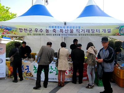 부산 진구청 광장서,합천군 우수 농·축특산물 직거래 장터 개설