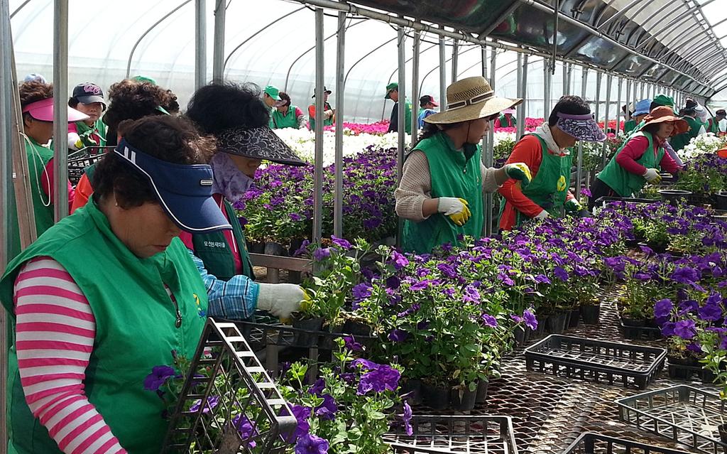 뉴 새마을 만들기 사업 (후레쉬한 합천) 추진  