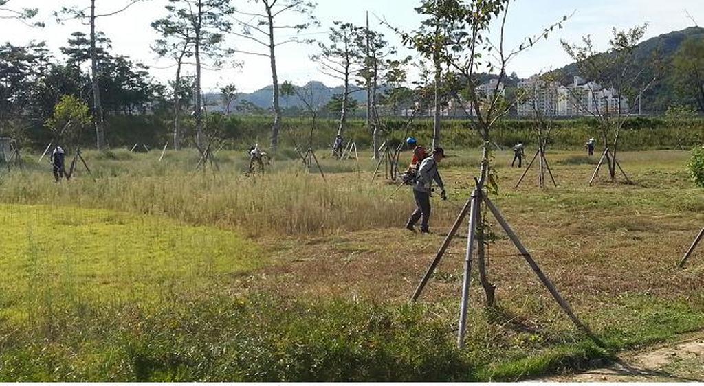합천군 국가하천 관리실태평가 우수지장체 선정