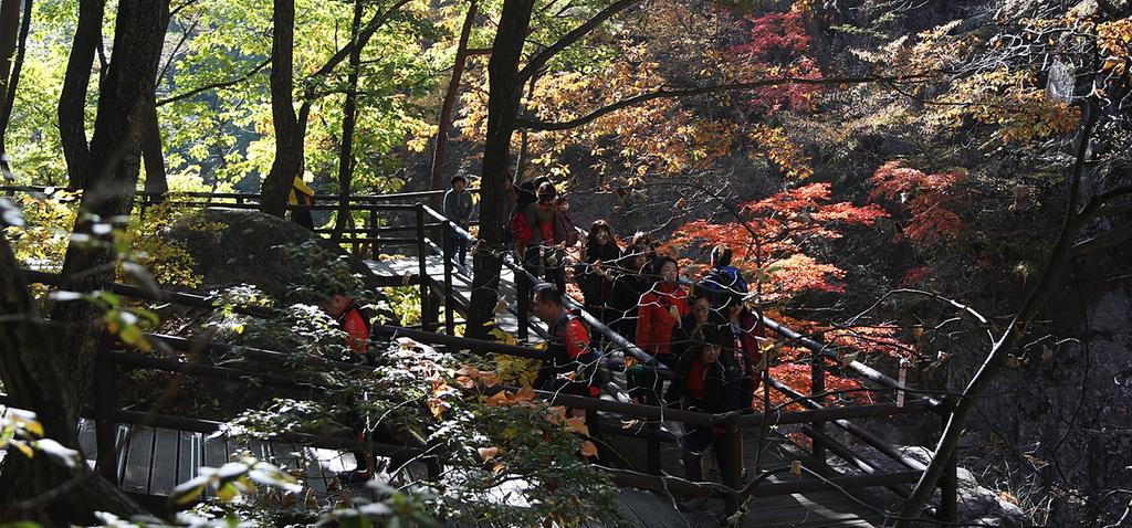재외합천향우연합회 고향사랑 등반대회 개최