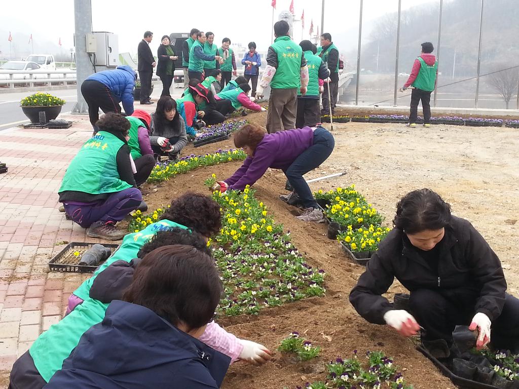 새마을운동합천군지회, 걷고 싶은 합천거리 봄맞이 꽃길 조성