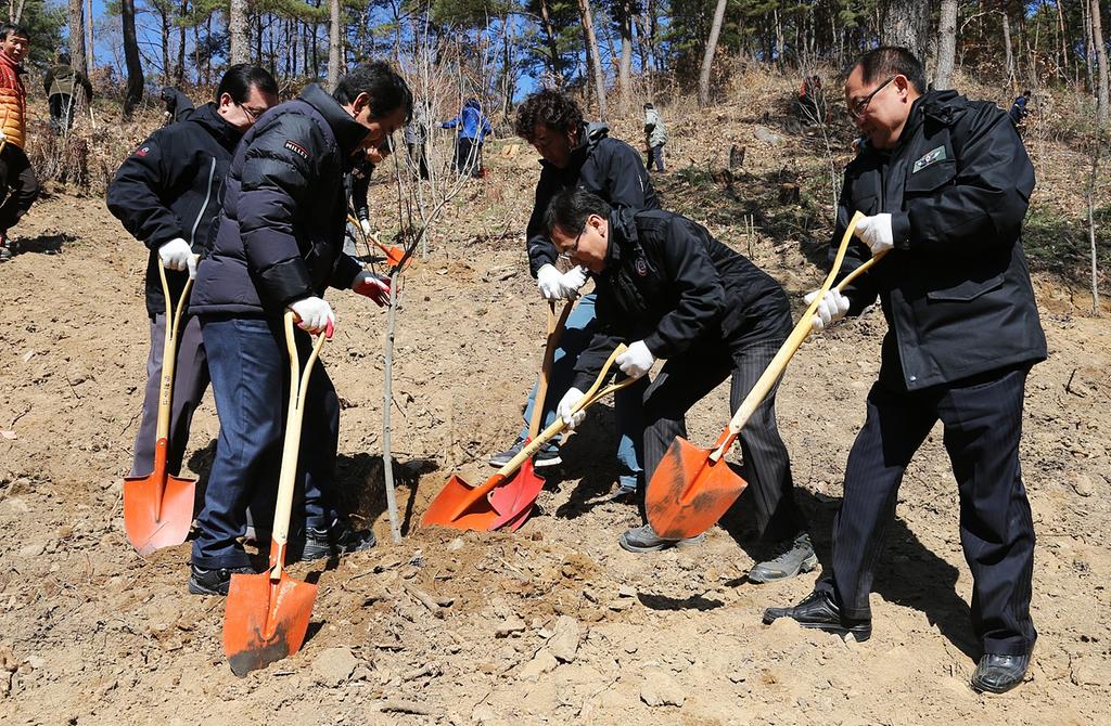 합천군 봄철 나무심기 조림착수행사 가져