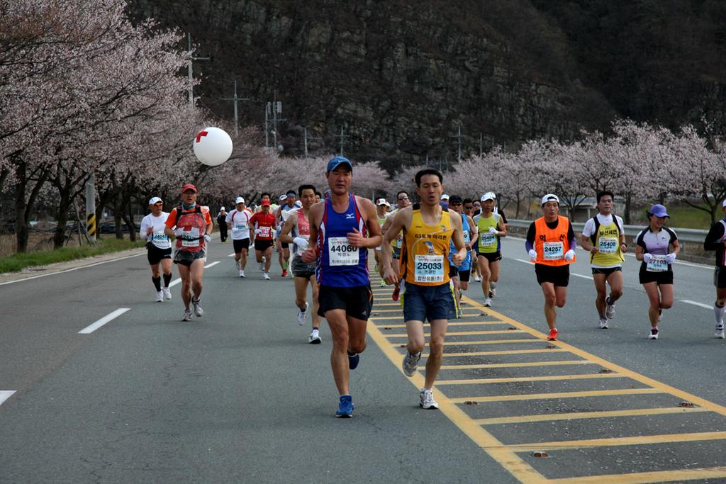 합천벚꽃마라톤대회 1만 여명 참가접수 마감