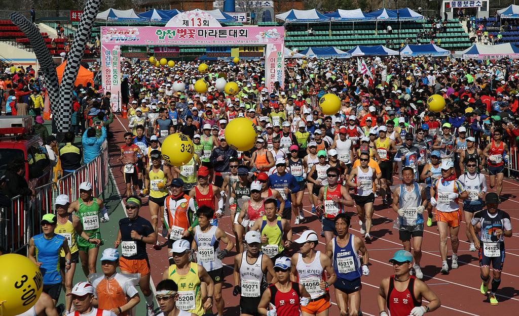 전국 최고의 명품 마라톤, 합천벚꽃마라톤대회 성황