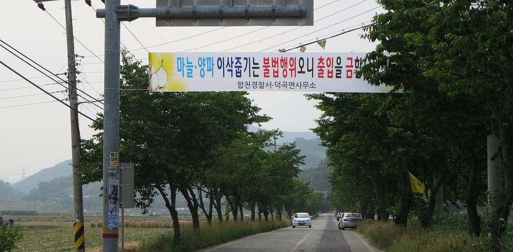 덕곡면, 양파·마늘 이삭줍기 범죄예방에 힘써