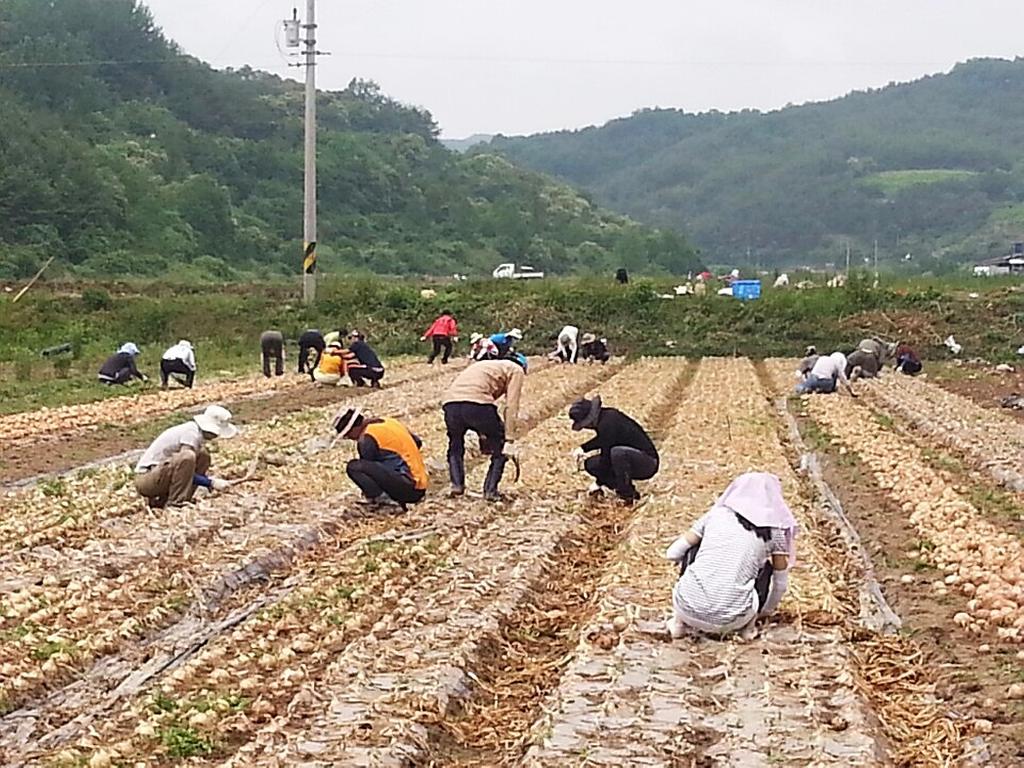 덕곡면, 농번기 현장행정으로 주민건의사항 청취