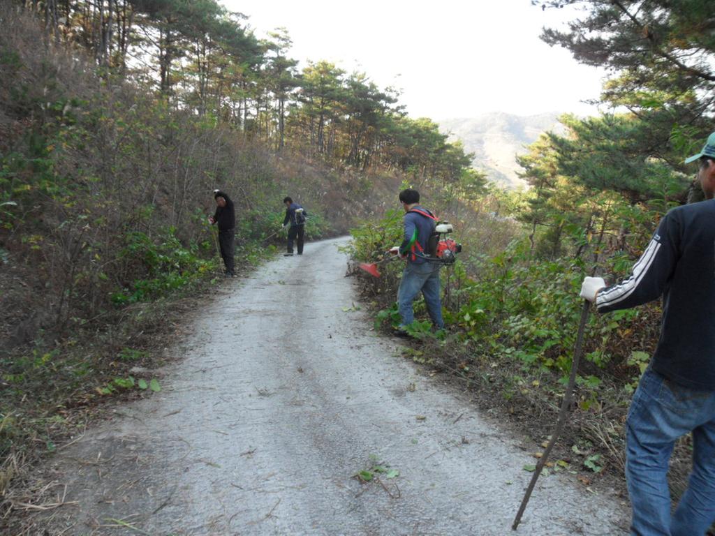 합천군, 산림연접지역 인화물질 제거 작업 실시