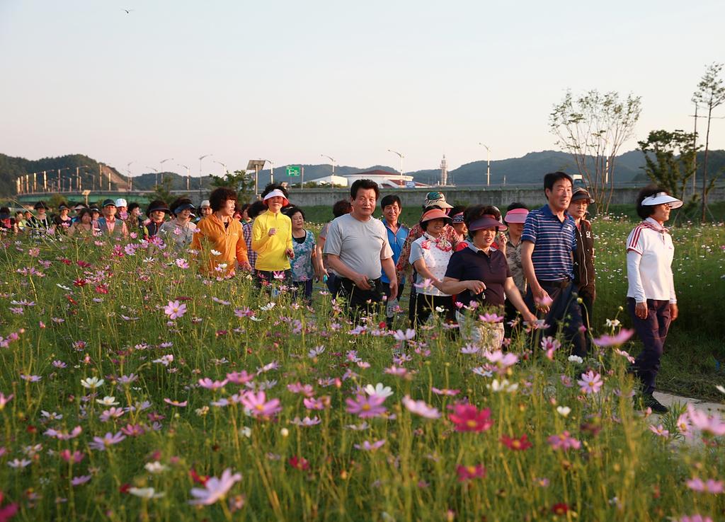  코스모스 핀 황강변 길을 함께 걸어요.