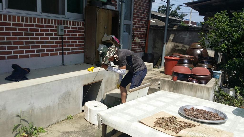 합천군, 누수탐사로 유수율 향상