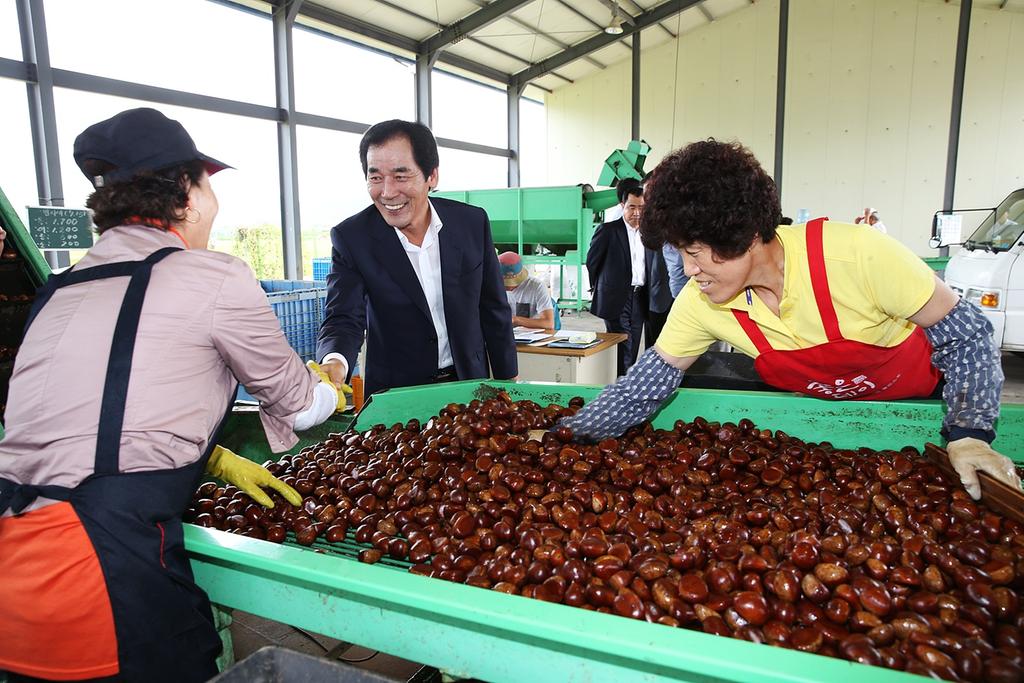 합천호농협 밤 수출 발대식 가져
