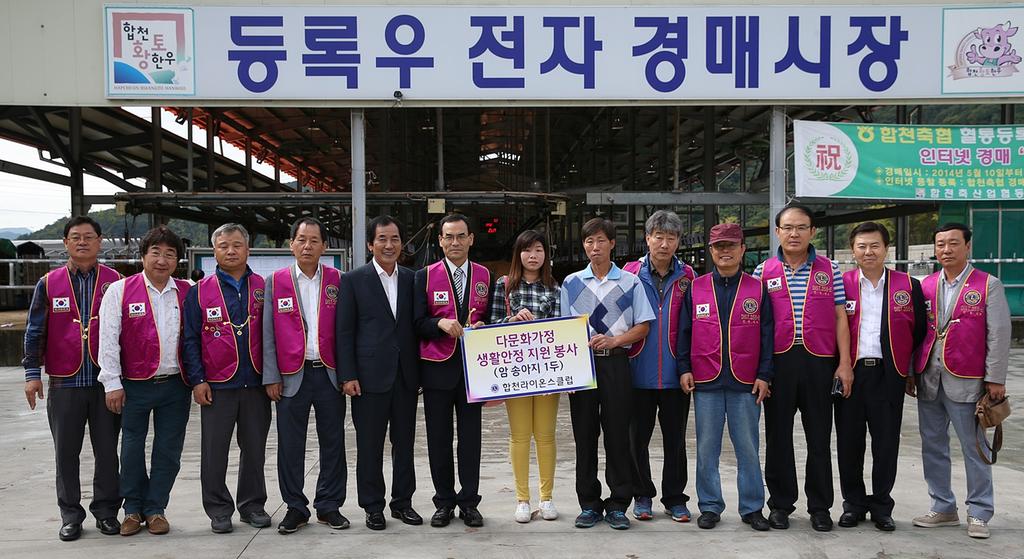 합천천라이온스클럽 생활안정자금으로 송아지지원 