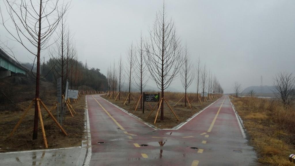  김동수 향우 합천군에 메타세콰이어 530주 기증