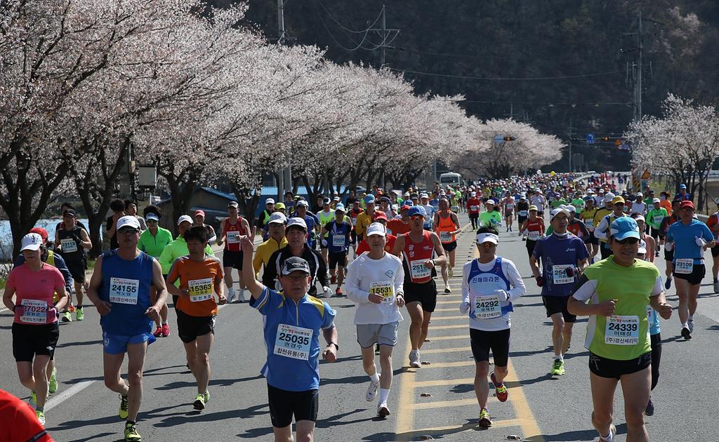 합천벚꽃마라톤대회 참가신청, 3월13일까지 연장
