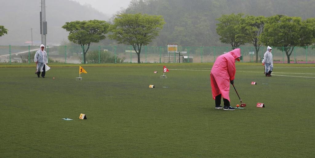 제9회 경상남도지사기 그라운드골프대회 개최