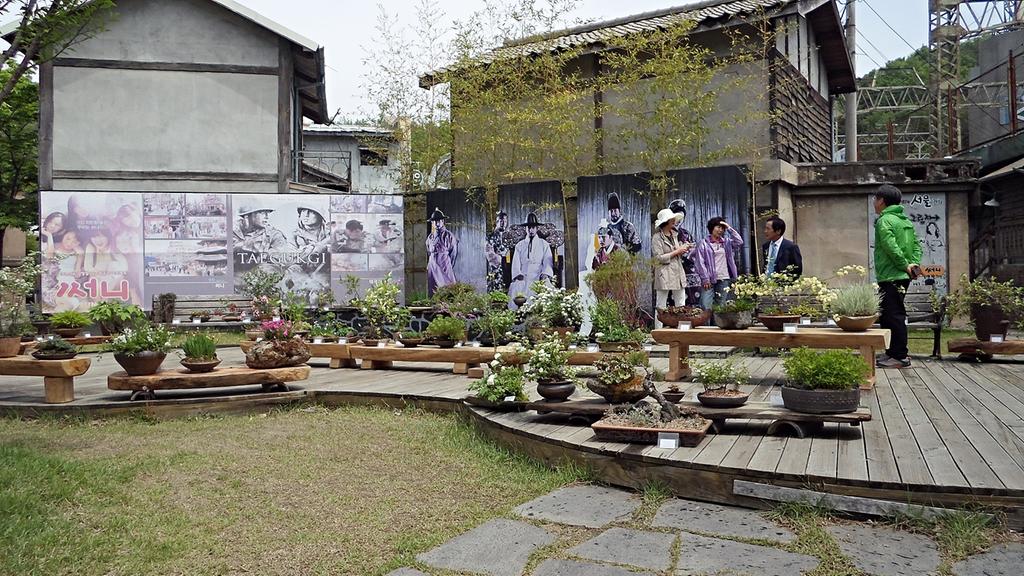 합천영상테마파크에 “들꽃 야생화” 구경하러 오세요