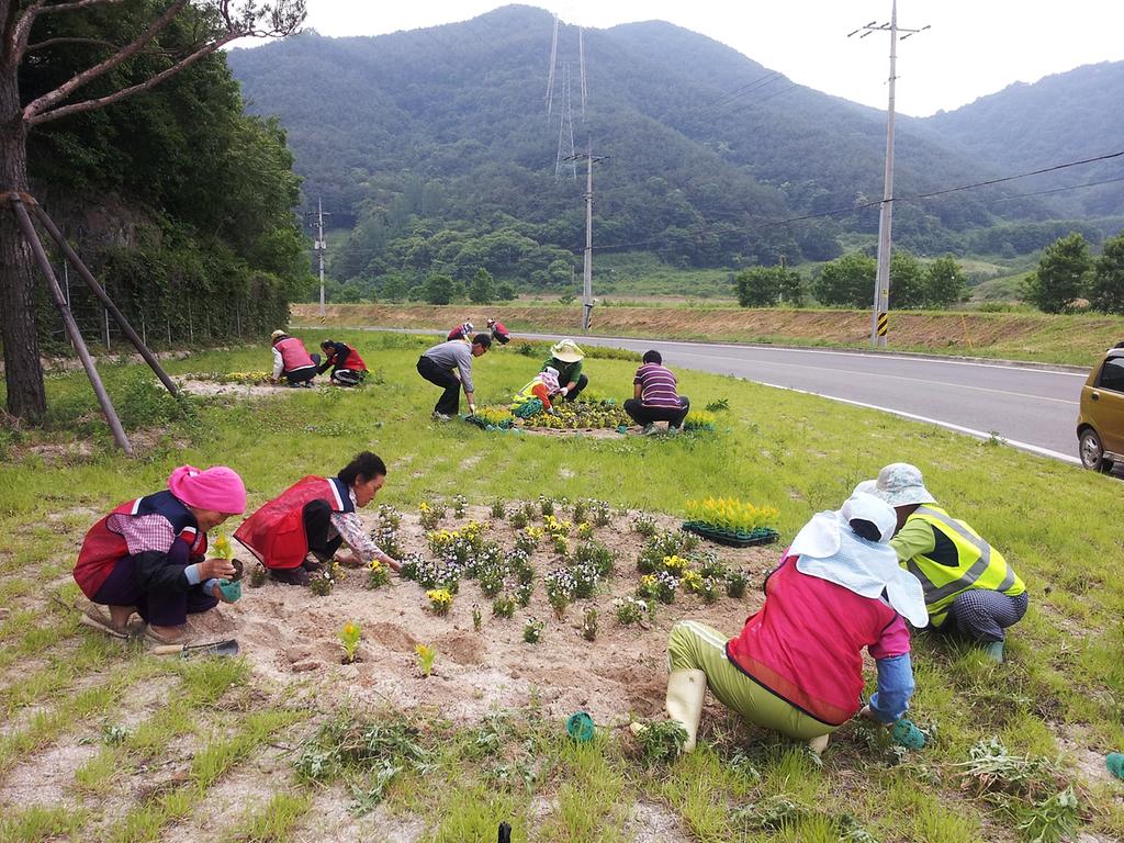 덕곡면 주요 공한지 꽃심기 운동전개
