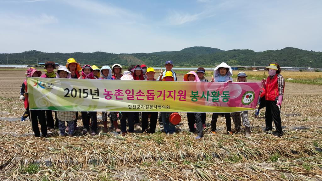 합천군자원봉사협의회 농촌일손돕기 봉사 실시