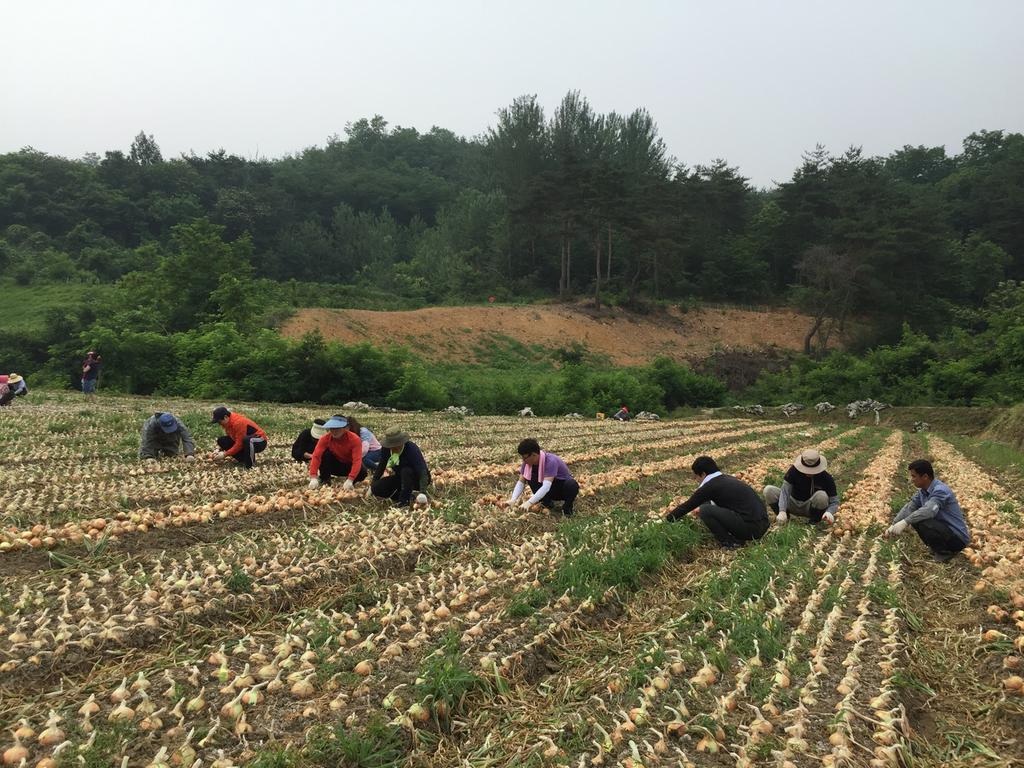1년차 귀농인, 대병면에서 귀농의 꿈을 실현하다!