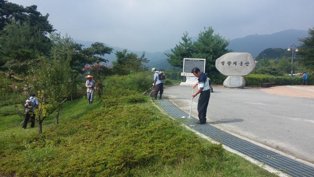 「봉산면 농촌지도자」망향의 동산 환경정화 활동 실시