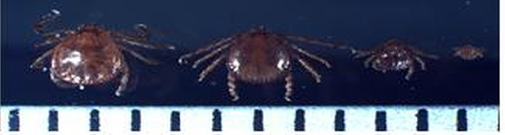 합천군, 감염병 Zero에 도전!