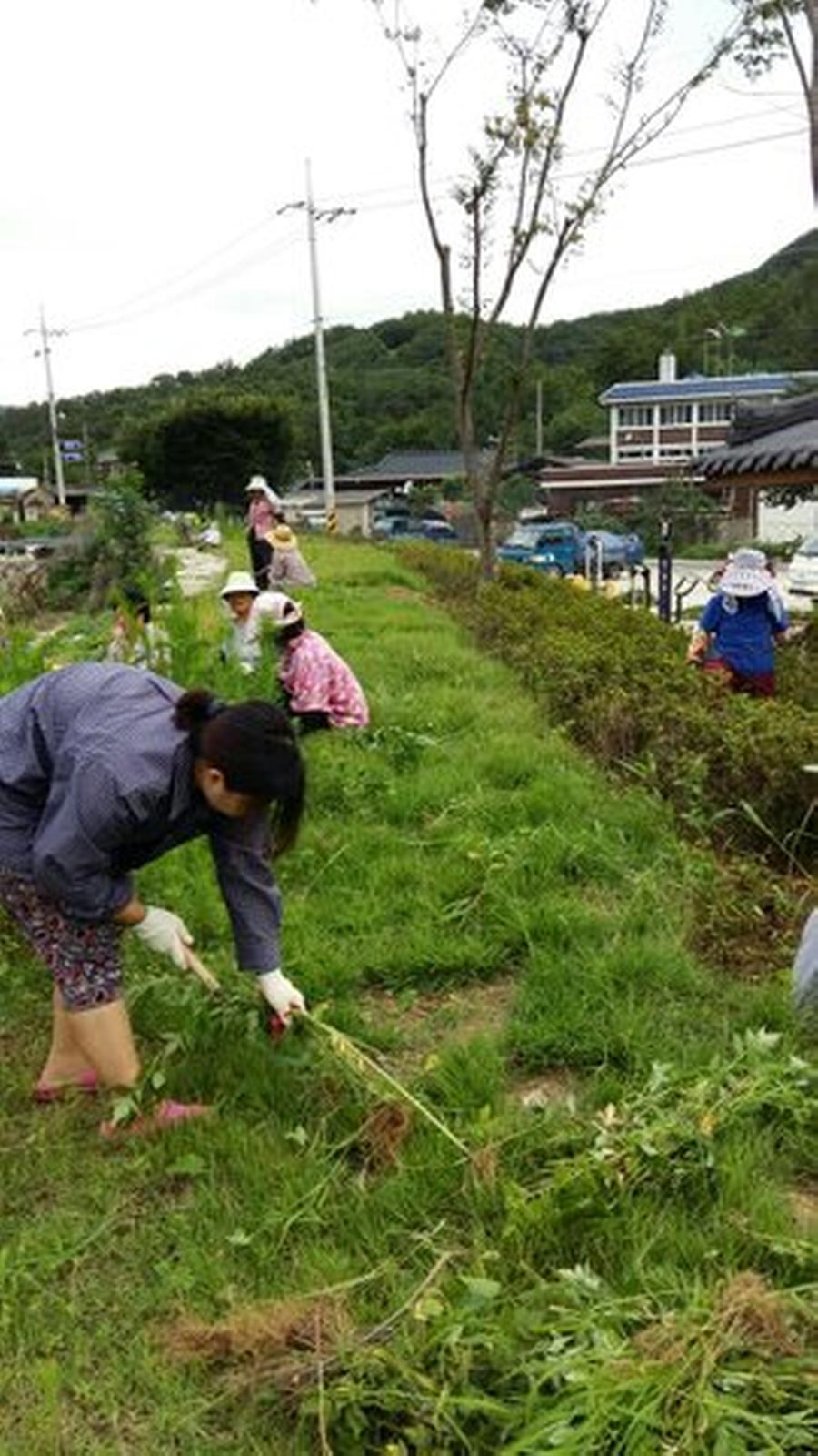 덕곡면, 추석명절 고향 방문객 맞이 마을 대청소 실시