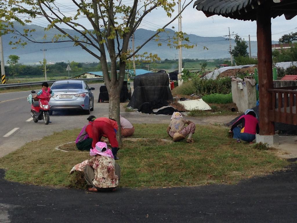  적중면, “추석맞이 마을 대청소 실시”