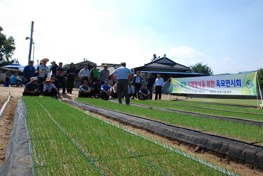 양파 기계정식을 위한 육묘 연시회 개최